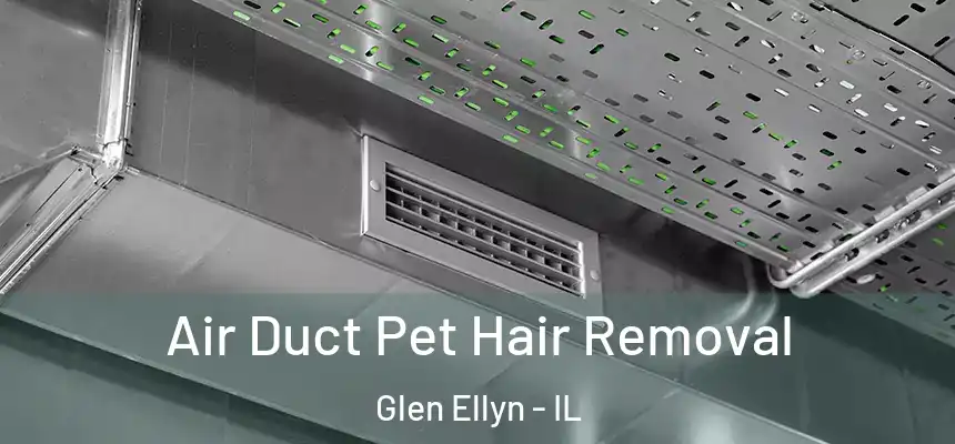  Air Duct Pet Hair Removal Glen Ellyn - IL