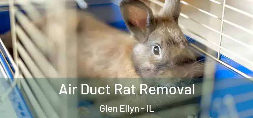  Air Duct Rat Removal Glen Ellyn - IL