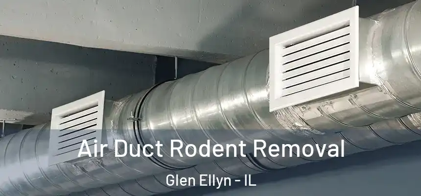  Air Duct Rodent Removal Glen Ellyn - IL
