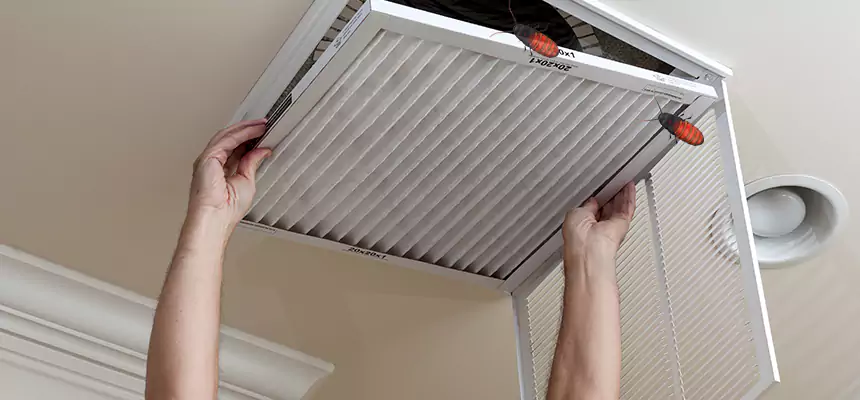 Preventive Cockroach-Proofing for Ducts in Glen Ellyn