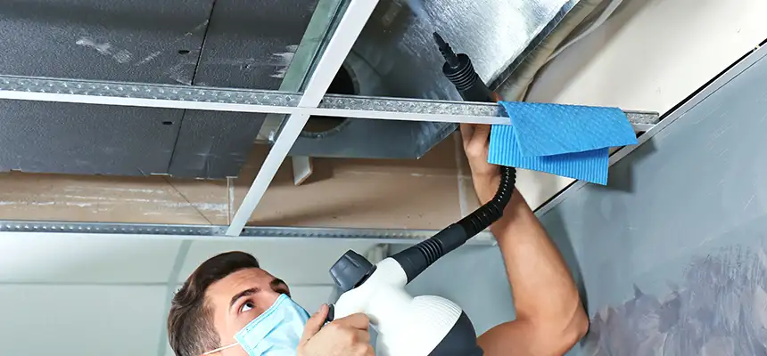 Our Air Duct Rodent Removal Services in Glen Ellyn, IL