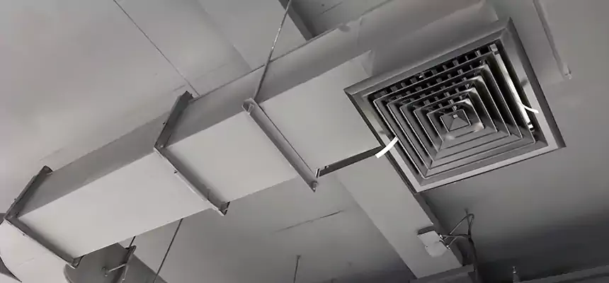 Restorative Allergy Relief Vent Cleaning – Coil, Blower & Housing Detail in Glen Ellyn