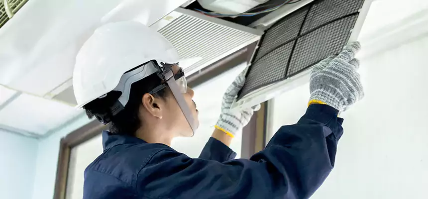 Our Mold & Mildew Removal from Air Ducts Services in Glen Ellyn, IL