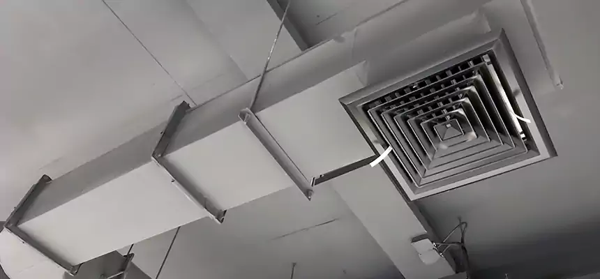 Our Pest Removal From Ducts Services in Glen Ellyn, IL