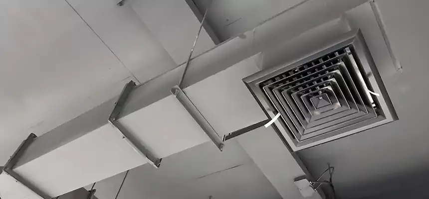 Our Rodent Droppings In Vents Services in Glen Ellyn, IL