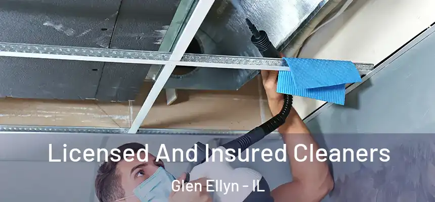 Licensed And Insured Cleaners Glen Ellyn - IL