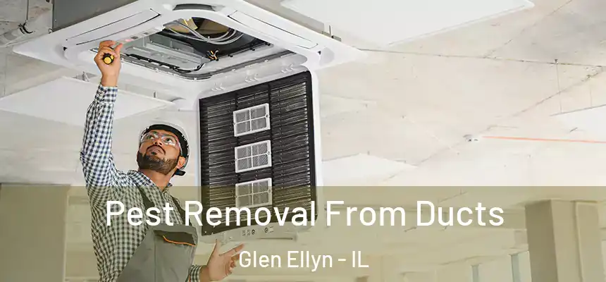 Pest Removal From Ducts Glen Ellyn - IL