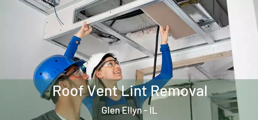 Roof Vent Lint Removal Glen Ellyn - IL
