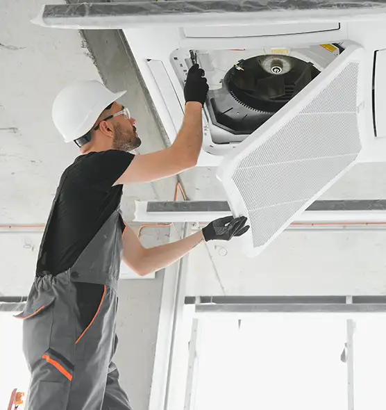 About Air Duct Rodent Removal in Glen Ellyn, IL