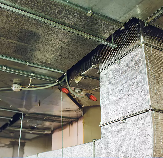 Why Homeowners & Businesses Trust Us in Glen Ellyn, IL?