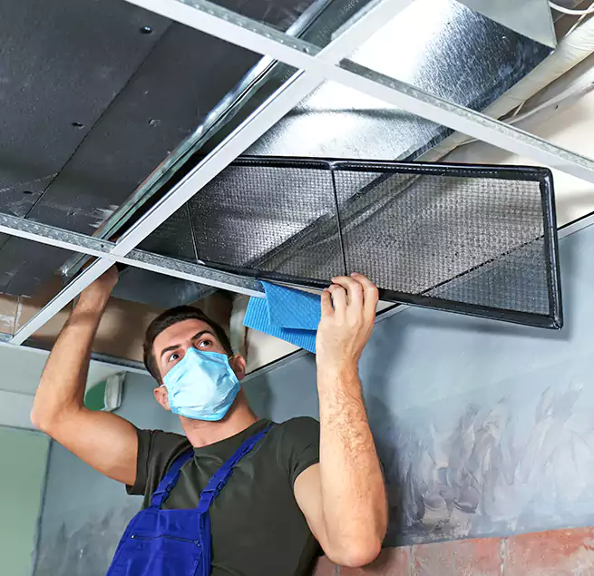 Why Homeowners Businesses Trust Us in Glen Ellyn, IL