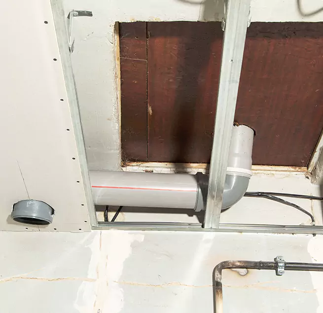 Why Homeowners & Businesses Trust Us in Glen Ellyn, IL?