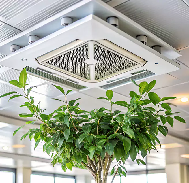 Why Homeowners & Businesses Trust Us in Glen Ellyn, IL?